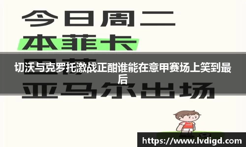 3377体育官网